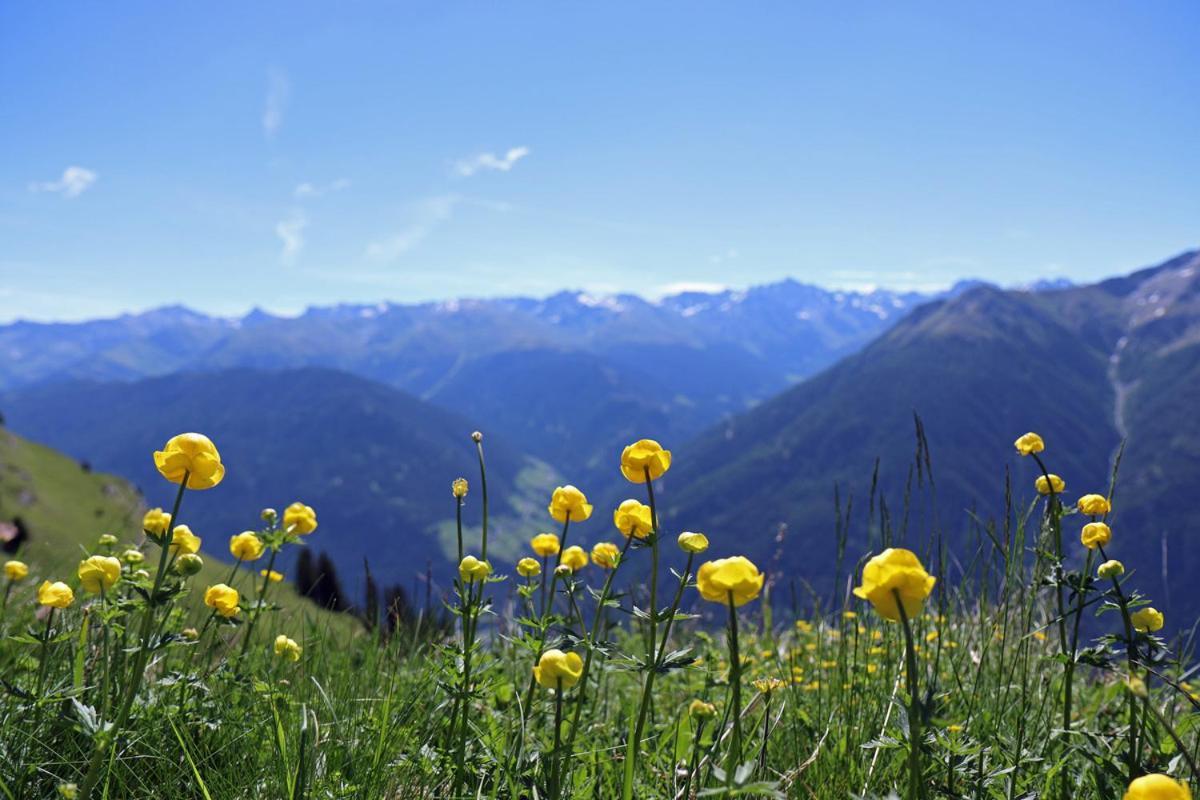 Pension Fuchs Pfunds Exterior foto